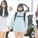포포