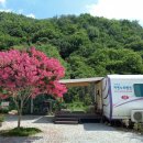 소백산자연누리카라반야영장 이미지