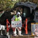 김용빈농장 이미지