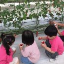 김동언농장 이미지