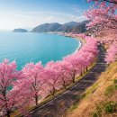 세븐일레븐 안산달맞이공원점 | 인생 벚꽃 명소: 2025 설렘 가득 벚꽃 로드 지금 떠나자!