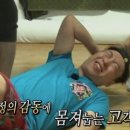 곤드레만드레 이미지