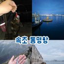 속초낚시 동명항 후기｜속초바다 낚시 포인트 고등어 우럭 조과