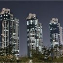 생명나무공인중개사사무소 | 부동산을 처음 접하는 사람도 쉽게 이해하는 세종시 부동산 이야기