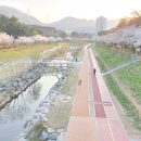 좌광천산책로2 이미지