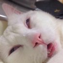 구십도 이미지