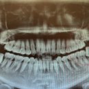 젊은이치과의원 이미지