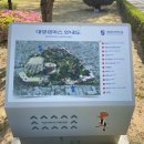 계명대학교 대명캠퍼스 정문 | [대구] 라일락 명소🌿계명대학교 대명캠퍼스 개화상황,주차정보(+꽃사과나무 명소)