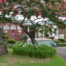 진상초등학교 이미지