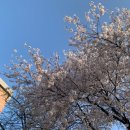 대구교대과학관 이미지