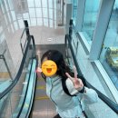 세븐일레븐인천심곡제일점 | <삿포로 여행> ✈️신치토세공항 입국후기, 진에어좌석간격, 입국시간!!