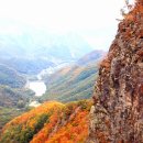 구봉산 Daum카페
