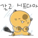 왕십리 고양이 위너펫 24시 이미지