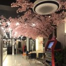 앤유PC 경성대점 이미지