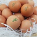 대섬알이랑 이미지