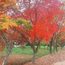 (주)경주산림환경 이미지