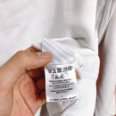 화이트부러쉬 Daum카페