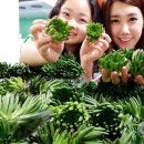웰빙빅마켓 - 관악구 양녕로 49 | 웰빙빅마켓