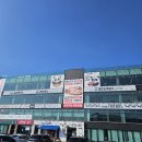 힐링오락실 | [보령 카페] 아기와 함께 방문하기 좋은 판다카페