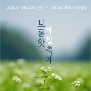 왓 티스토리