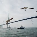 해변의 꿈 이미지