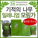 (주)천년넷