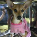 양천종합동물병원 이미지