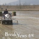 단평1리 브레이크뉴스