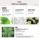 (주)링크맥스 | 멜라캡쳐앰플 RX, 프로, 맥스 비교 찐후기