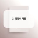 매일헬스트레이닝 네이버블로그