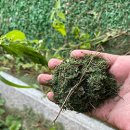 전농초교 이미지