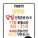 트라이핏 이미지