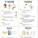 365청담한의원 이미지