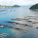 해나라 수산 이미지