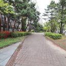 한마을어린이집 이미지