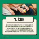 바오로노인복지센터 이미지