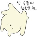 오아오(oao) 이미지