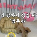 멈무까 이미지