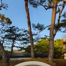 벚꽃 엔딩에 만난 티클라우드CC 라운딩 후기