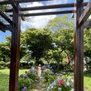 7월1일 안덕면?무소 이미지