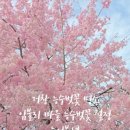 거창군남상면임불보건진료소 네이버블로그