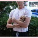 톰퍼피 강아지 분양 | 청도강아지분양 홍스퍼피에서 느꼈던 솔직 후기