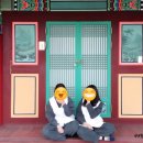 백운2리경로당 | 성주 팔만대장경 이운순례길 체험 / 가야산 야생화 식물원 / 심원사 템플스테이