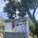 1과학자스토어