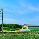 경의로789번길 이미지