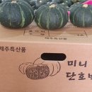 은수농장 이미지