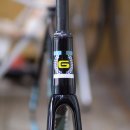 Team Shark 이미지