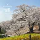 서울석유 | 내일이 마지막 SK인천석유화학 주말 방문 후기