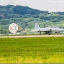 블랙이글 이미지