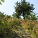 달리오름 이미지